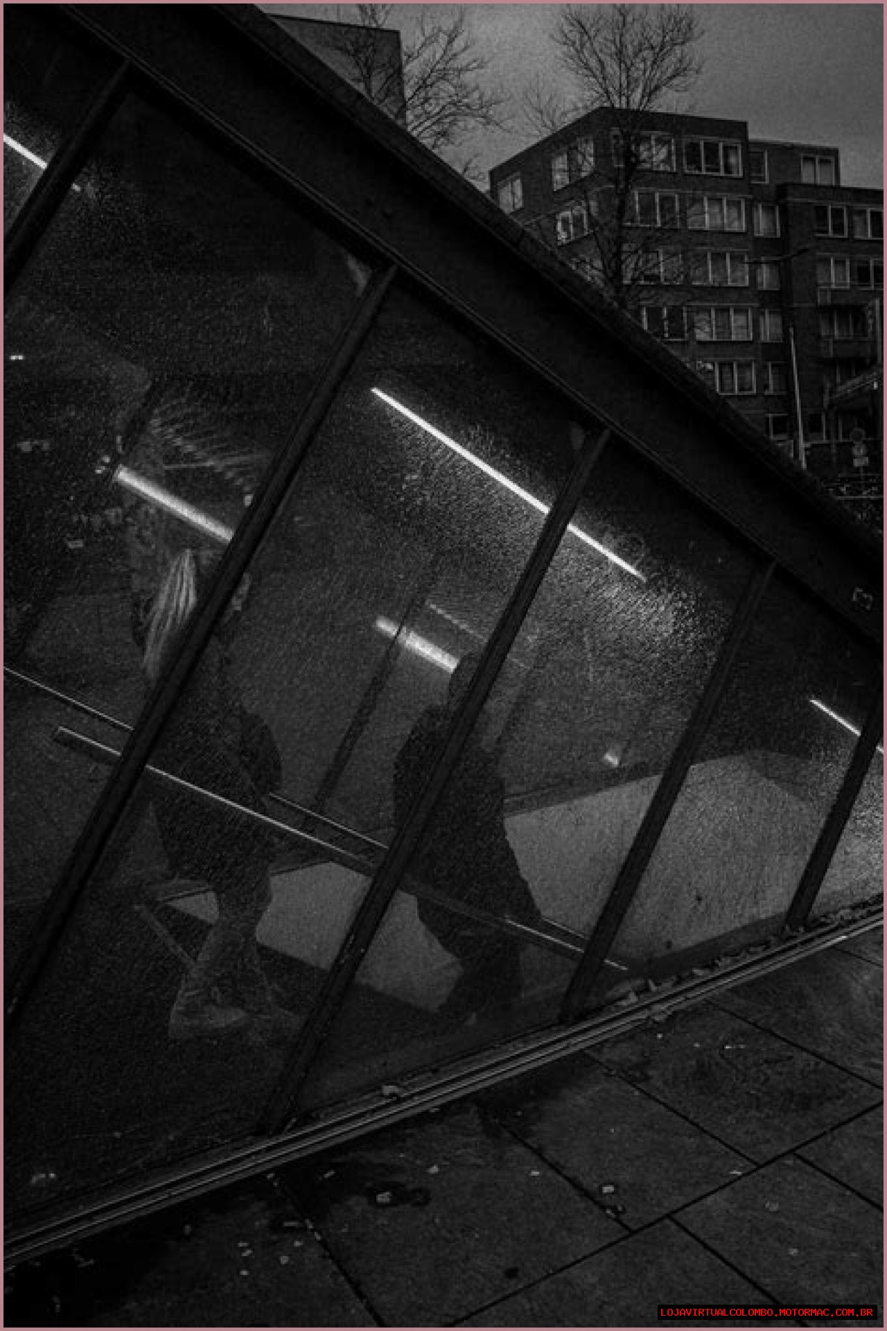 Discovering The Phenomenon Of Erome Soohie Rain